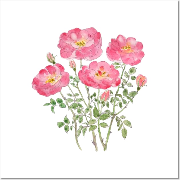 pink rose watercolor Wall Art by colorandcolor